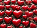 Какие подарки лучше всего дарить на 14 февраля своим вторым половинкам