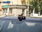 Настоящего дракона заметили жители Мелитополя прямо в центре города