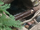 Жители Бердянска показали на видео место новой аварии на водопроводе