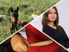 Новости Запорожья: выжившая после теракта лошадь родила жеребенка, 20 ножевых на почве ревности и апелляция по делу Поздеева