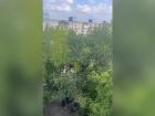 «По нему психушка плачет»: украинцу привиделся Путин в Запорожье