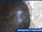Жители запорожского села утопают в фекалиях