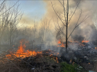 Пожарные ликвидировали возгорание сухой травы на площади 1 га в Запорожье