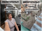 Следователи начали проверку после видео о нападении собаки на ребенка в Мелитополе