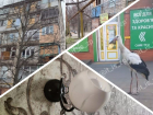 Новости Запорожья: аист «навел порядки» на улице, бесчеловечный удар по людям и энергетический коллапс 
