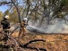 Спасатели почти целый день боролись с масштабным пожаром на Хортице