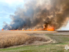 Сотрудники МЧС потушили масштабный природный пожар под Бердянском