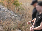 Двое парней попытались подорвать железную дорогу противотанковой миной в Запорожской области