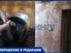 Многодетная семья задыхается от плесени после протечек крыши дома в Михайловке
