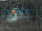 Жители Мелитополя пожаловались на исписанные неприличными граффити заборы в «эко-парке»