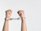 Житель Бердянска осужден на 15 лет за вербовку и склонение к террористическим актам