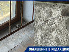 «Трупы мышей и кучи тараканов»: жители Днепрорудного пожаловались на ЖКУ