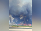Экологи подняли тревогу из-за крупного пожара на бывшем Каховском водохранилище у Запорожья