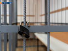 Дебоширу дали 6 лет тюрьмы за попытку убить своего дядю молотком в Запорожской области