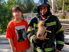Спасатели МЧС достали из-под бетонных завалов щенка в Мелитополе