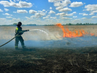 Около 12 гектаров сухой травы сгорело в Запорожской области за сутки