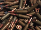Полицейские в Запорожской области изъяли у местного жителя боеприпасы