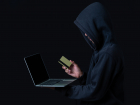 Уровень киберпреступности вырос в шесть раз в Запорожской области