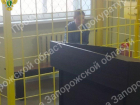 Фанатку Битцевского маньяка из Бердянска отправили в СИЗО на два месяца
