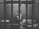 Михайловский продавец контрафакта приговорён к колонии за взяточничество