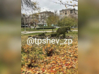 Необычная фигура из кустов украсила парк Запорожья
