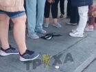 Нападение назойливой сороки на толпу людей сняли на видео в Запорожье