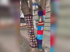 Неизвестные мастера утеплили запорожские деревья вязаными нарядами