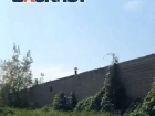 Сорняки в человеческий рост и мусор: мелитопольцы возмутились состоянием территории возле ГСК