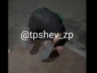 Пьяный «акробат» насмешил запорожцев своей нелепой гимнастикой 