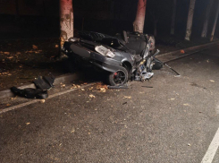 Энергодарец не справился с управлением и влетел на полной скорости в дерево