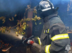 Кровля гаража вспыхнула во дворе частного дома в Мелитополе
