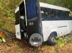 Появились кадры с места, где перевернулась маршрутка с пассажирами в Запорожье