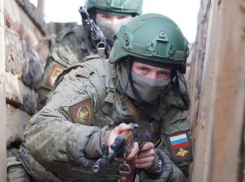 Военкоры сообщили об освобождении села Зелёное Поле у Запорожской области