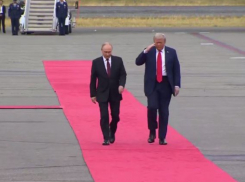 “Сделки нет”: как переговоры Путина и Трампа повлияют на боевые действия в Запорожье