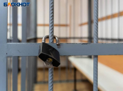 Мужчина избежал реального срока за хранение гранаты и патронов дома в Запорожской области