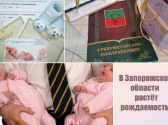 В Мелитопольском отделе ЗАГС зарегистрировали первую двойню в этом году