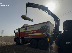 Новости Запорожья: теракт, авиабомба в поле и труп в выгребной яме