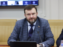 Сенатор Ворона предложил пустить паромы между Бердянском и Кубанью