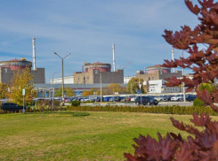 Названа дата остановки огня возле Запорожской АЭС для ремонта ЛЭП