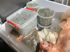 Житель Мелитополя спрятал коноплю в морозилке 