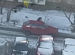 Водитель чуть не оторвал руку женщине во время разборок в Запорожье