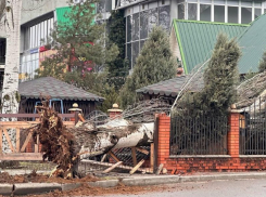 Шквалистый ветер в Запорожской области продлится до конца 16 февраля