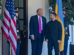 Новости СВО: Трамп «предал» Украину, Степногорск в «клещах», ВС РФ не будут форсировать Ганчур у Гуляйполя 