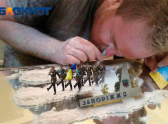 «Время для секса, наркотиков и рок-н-ролла»: уставшие бойцы ВСУ готовы сдать город Запорожье в обмен на мир