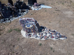 Глазастые камни напугали жителей Запорожья