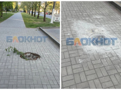 Власти Мелитополя обезопасили канализационные люки после ЧП с ребёнком