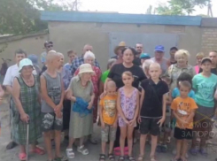 Бастрыкина попросили разобраться с беспределом псевдосиловиков в Запорожской области