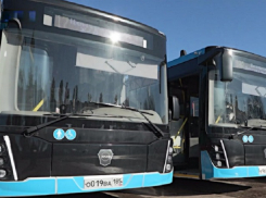 140 новых автобусов вышли на маршруты в Мелитополе и Бердянске