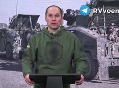 «Выйти можно только пешком»: провал ВСУ в Великой Новосёлке признали украинские пропагандисты