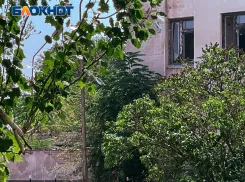 Мирная жительница тяжело ранена при атаке дрона ВСУ в Каменке-Днепровской